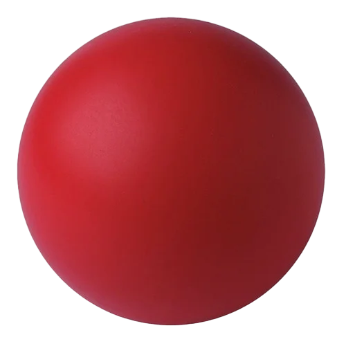 Pelota Ortopédica para Rehabilitación
